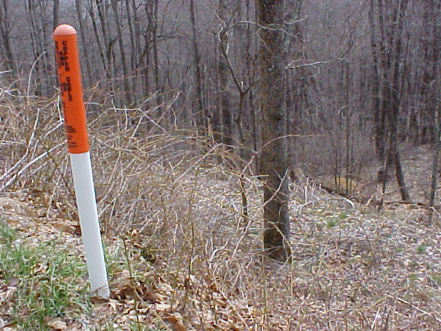 Utility Marker at road's edge